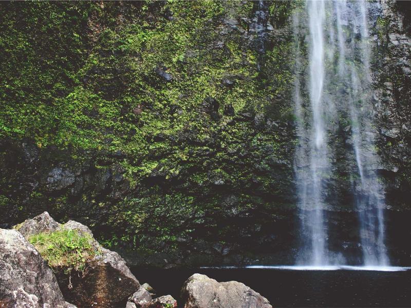 sudoku chain solving screenshot 5