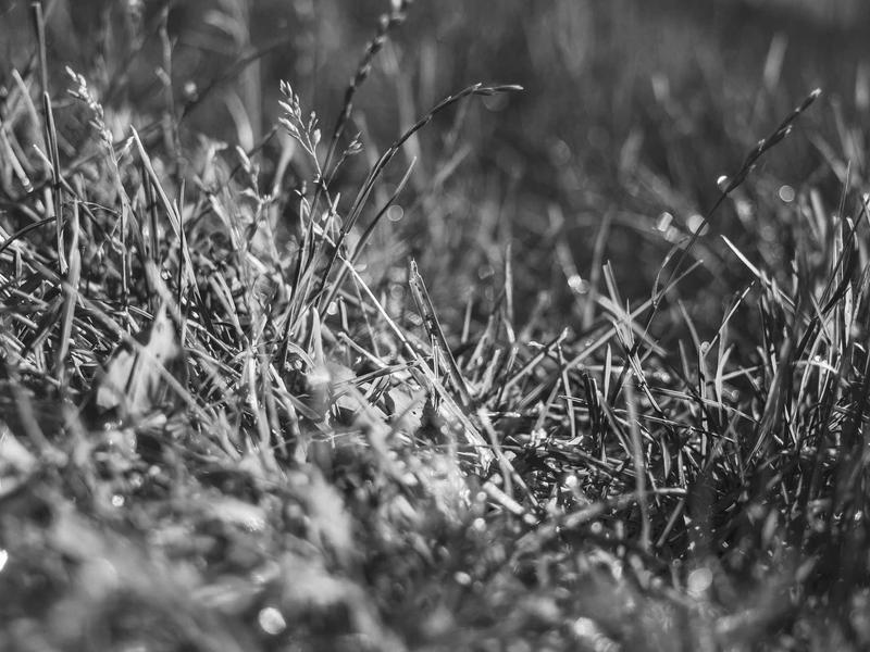 sudoku chain solving screenshot 3